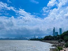 -深圳湾公园(南山区)