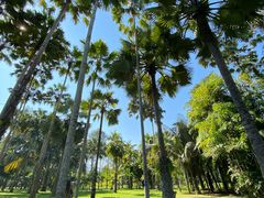 -中国科学院西双版纳热带植物园