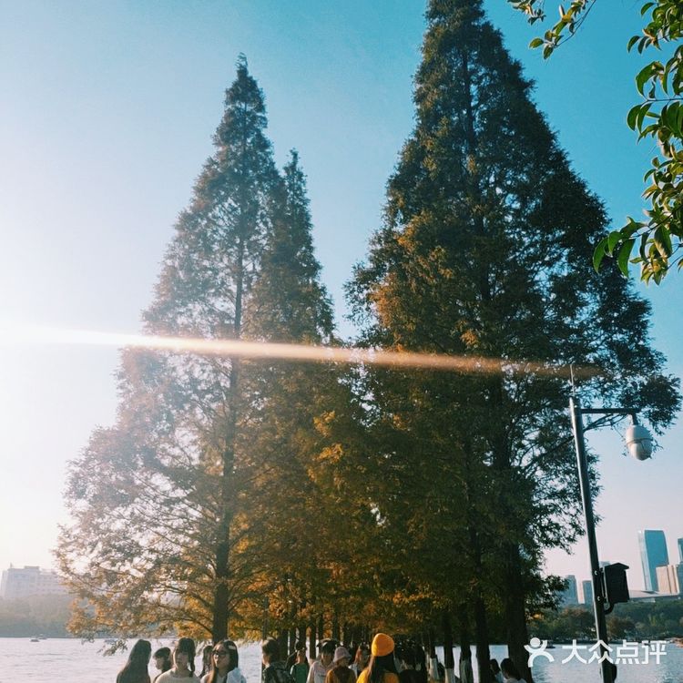 烈士公园原来可以这么美[亲亲]