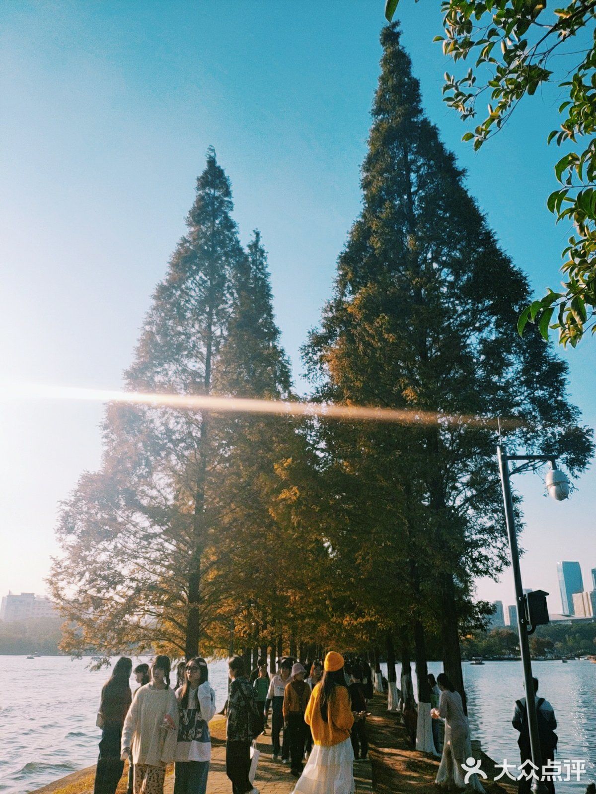 烈士公园原来可以这么美[亲亲]