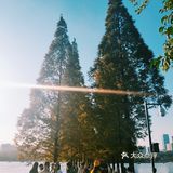 烈士公园原来可以这么美[亲亲]