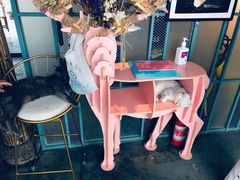 -喵屿·大理花园猫咖