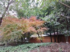-白马涧龙池景区