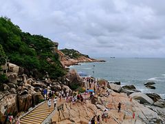 -广东惠东海龟国家级自然保护区