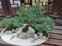 -汇龙潭