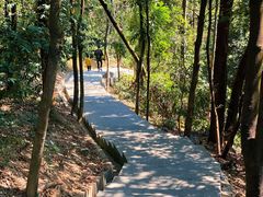 -火炉山森林公园