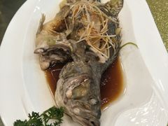 -东四民芳餐厅(世茂工三店)