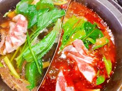 -唇辣号重庆老火锅(燕郊鑫乐汇店)