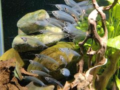 -太平洋海底世界