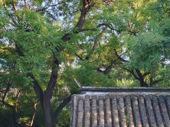 -北京国子监胡同