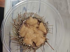 -海胆小馆(春柳店)