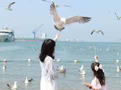 -海驴岛(荣成市)
