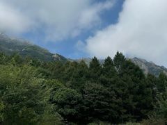 -白草畔自然风景区