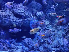 -成都浩海立方海洋公园