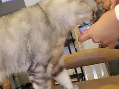-平行世界·猫咖(首经贸店)