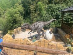 -将军关探险漂流