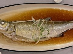 -全聚德(上海首店浦东店)