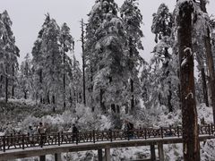 -瓦屋山景区