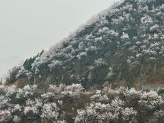 -妙峰山风景名胜区
