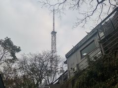 -灵顺寺