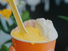 砂糖橘-Dal Cuore 达可芮冰淇淋(陕西北路店)