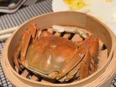 -广州万富希尔顿酒店-感趣自助餐厅·生蚝海鲜刺身