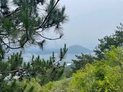 -千岛湖天屿景区