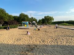 -大兴滨河森林公园