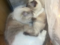-剧狐剧本杀(徐汇1号店)