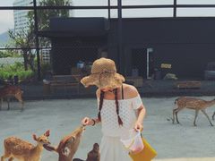 -鹿境梅花鹿生态园区