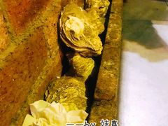-土蚝·高压锅生蚝(百姓美食街店)