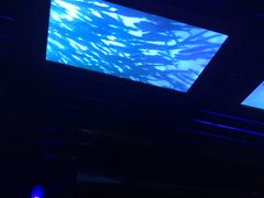 -海洋公园海洋列车－海滨站