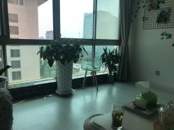 -宜肤清颜专业祛痘问题肌修护
