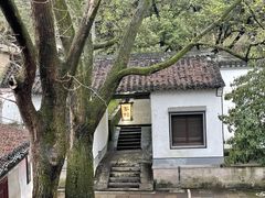 -仓桥直街臭豆腐