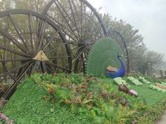 -呀路古热带植物园