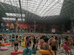 -哈尔滨波塞冬海底世界