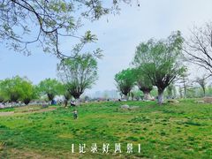 -汉长安城未央宫国家考古遗址公园