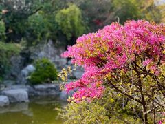 -上海吴淞炮台湾国家湿地公园