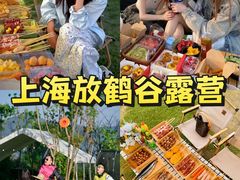 -上海山野camping·户外天幕烧烤·团建拓展营地
