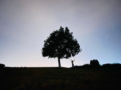 -钟山体育运动公园