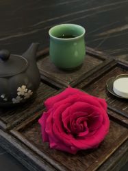 -VELEE·SPA高定疗愈会所