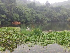 -天目湖山水园