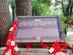 -乌镇西栅景区-月老庙