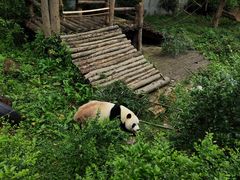 -黔灵山公园