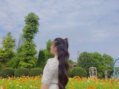 -都江堰玫瑰花溪谷
