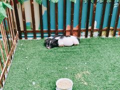 -朗悦公园茂