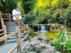 -南海湾森林生态园