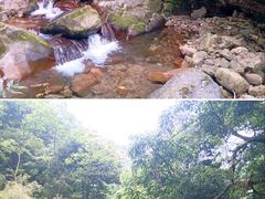 -瓦屋山景区