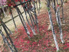 -武汉紫薇都市田园