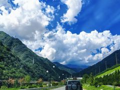 -牛背梁国家森林公园